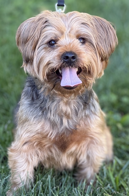 Ernie