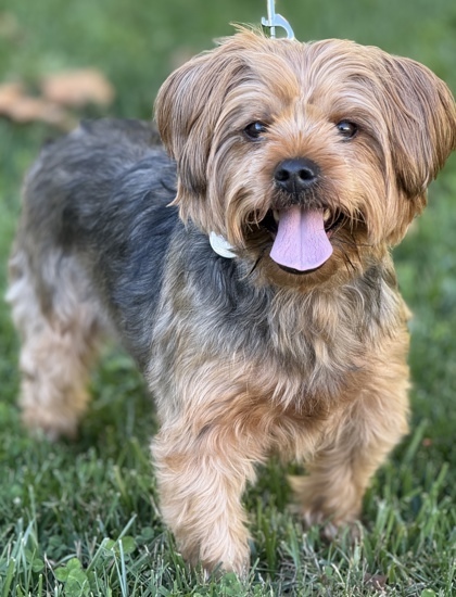 Ernie thumbnail 3