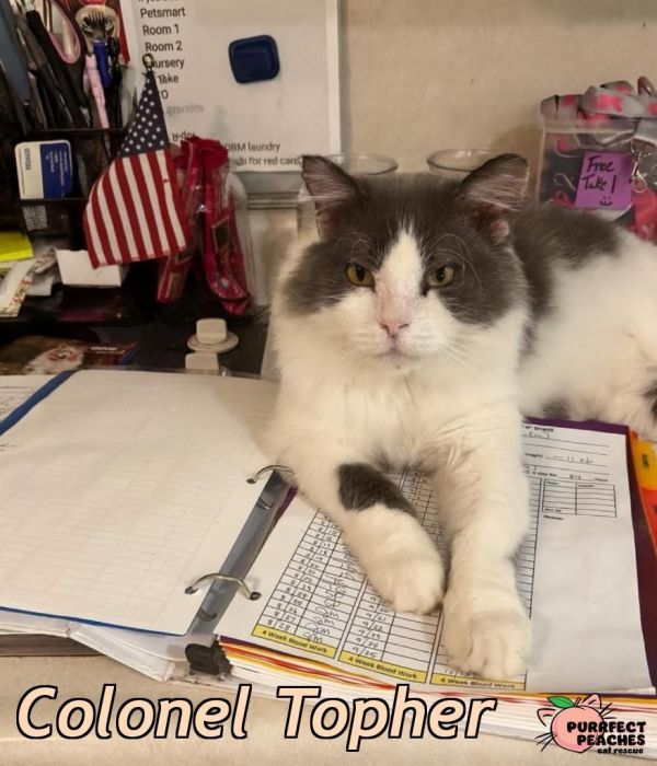 Colonel Topher