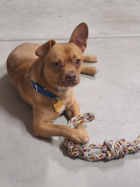 Broadwick thumbnail 2