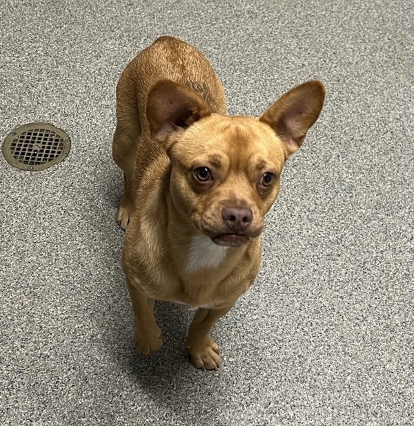 Broadwick thumbnail 3