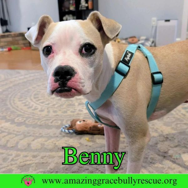 Benny