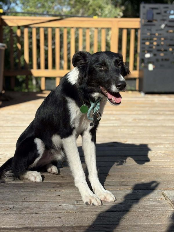 Riverdance thumbnail 3