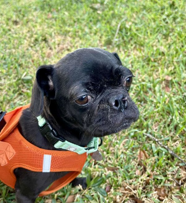 Harvey Arriving photo 1