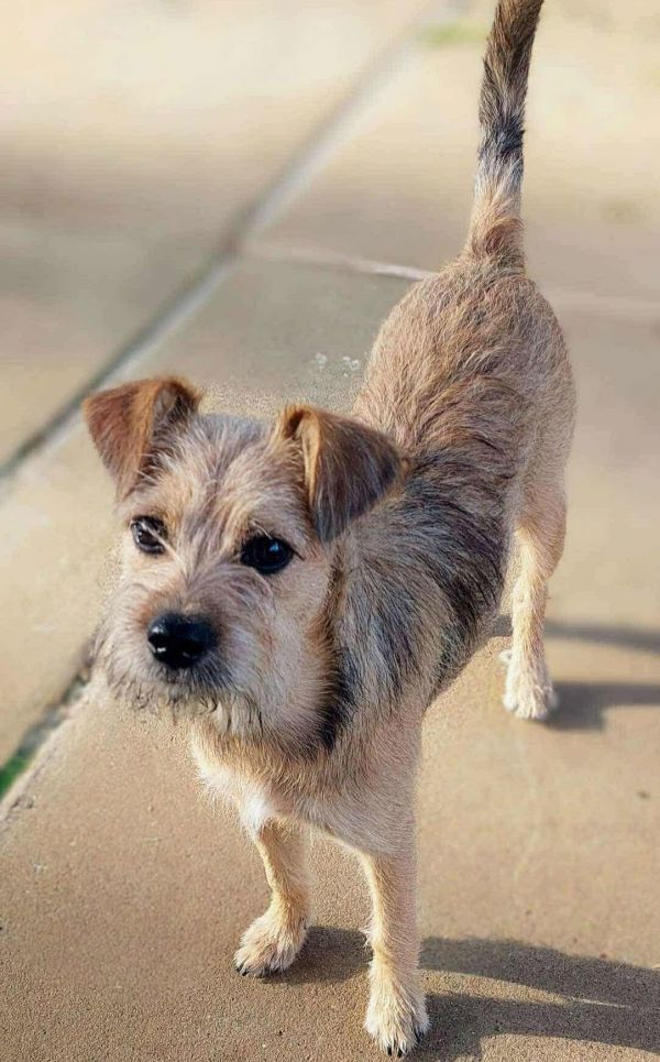 Medusa Arriving thumbnail 2