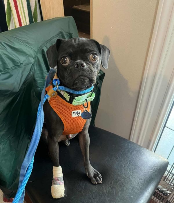 Harvey Arriving photo 1