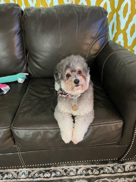 Ramsey  Really Handsome thumbnail 2