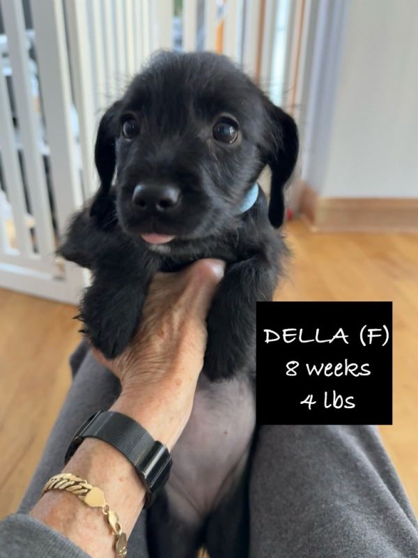 Della