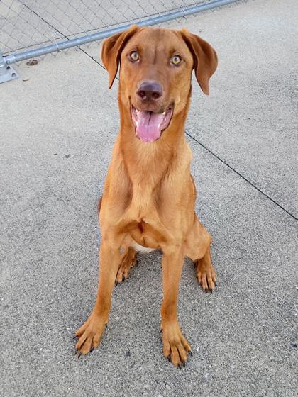 Ruby Frost thumbnail 2