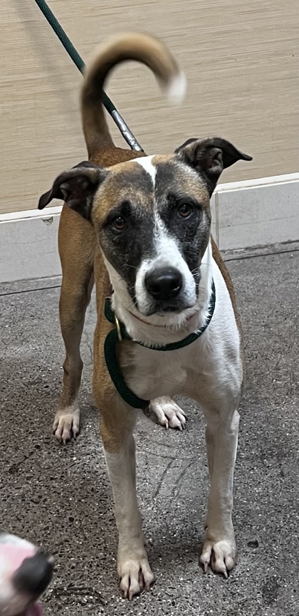 Max