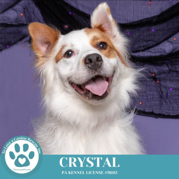 Crystal