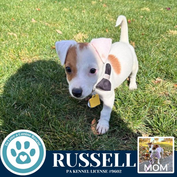 Russell