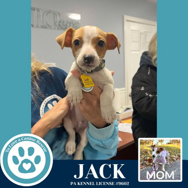 Jack