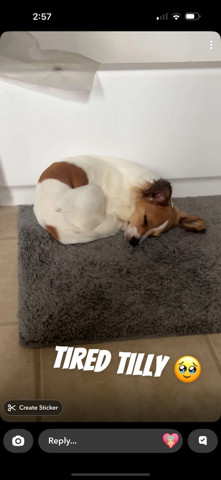 Tilly Aka Maggie thumbnail 2