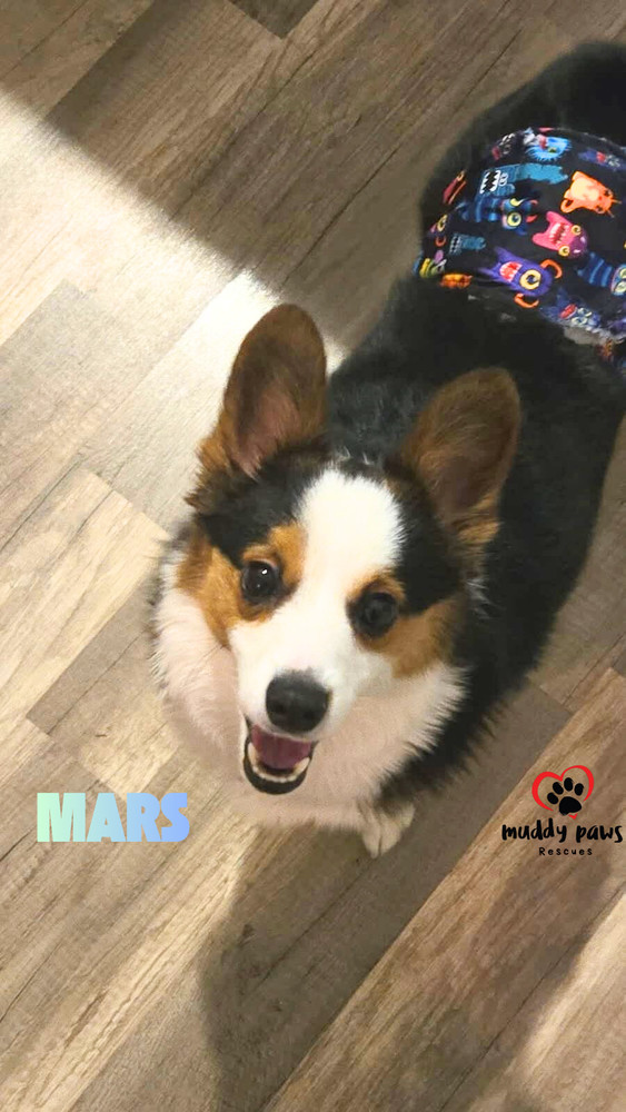 Mars thumbnail 3