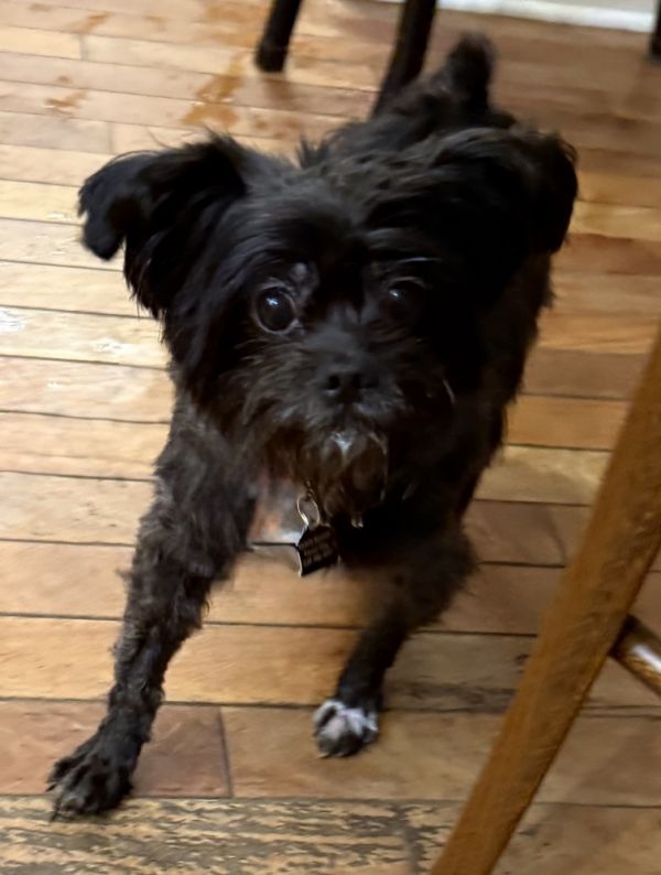 Coco Latte thumbnail 3