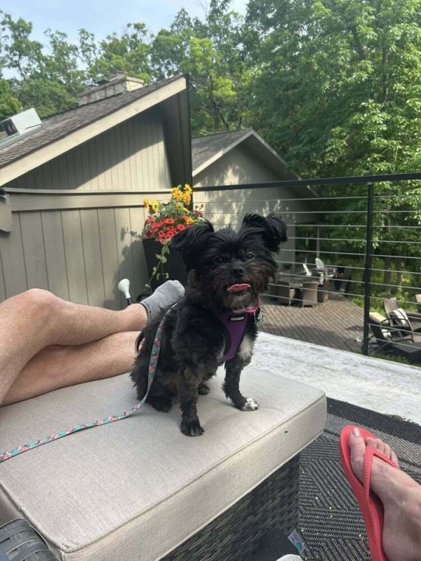 Coco Latte thumbnail 4