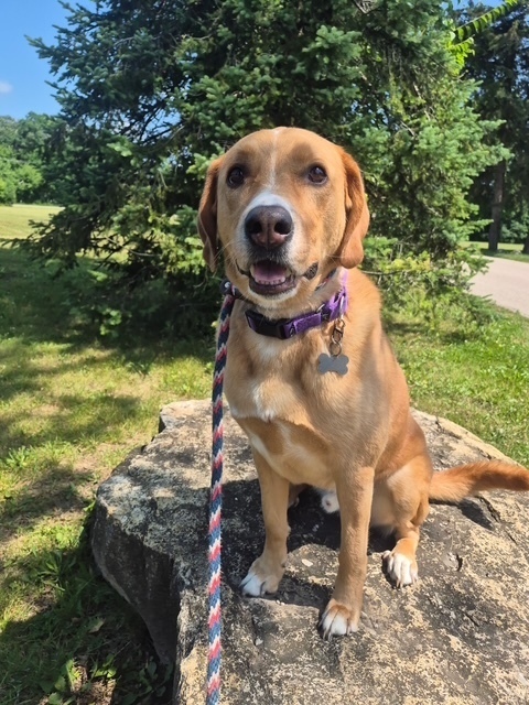 Sherlock thumbnail 2