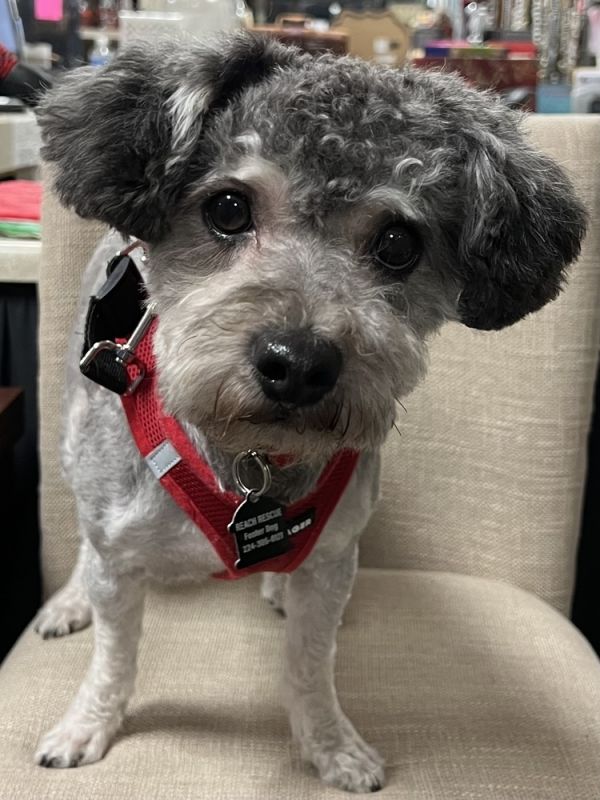 Tobey Maguire thumbnail 2