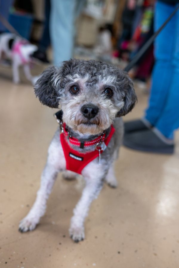 Tobey Maguire thumbnail 3