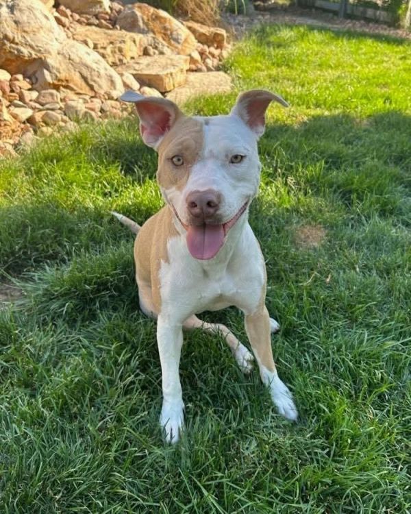 Michelle thumbnail 2