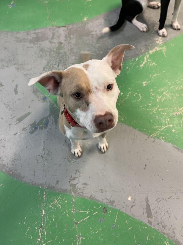 Michelle thumbnail 3