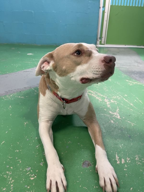 Michelle thumbnail 4