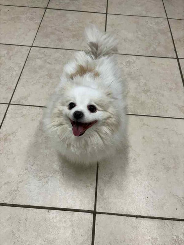 Winifred