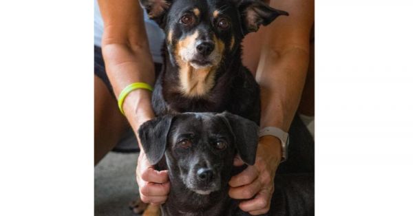 Little Girl thumbnail 5