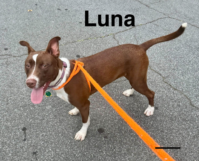 Luna