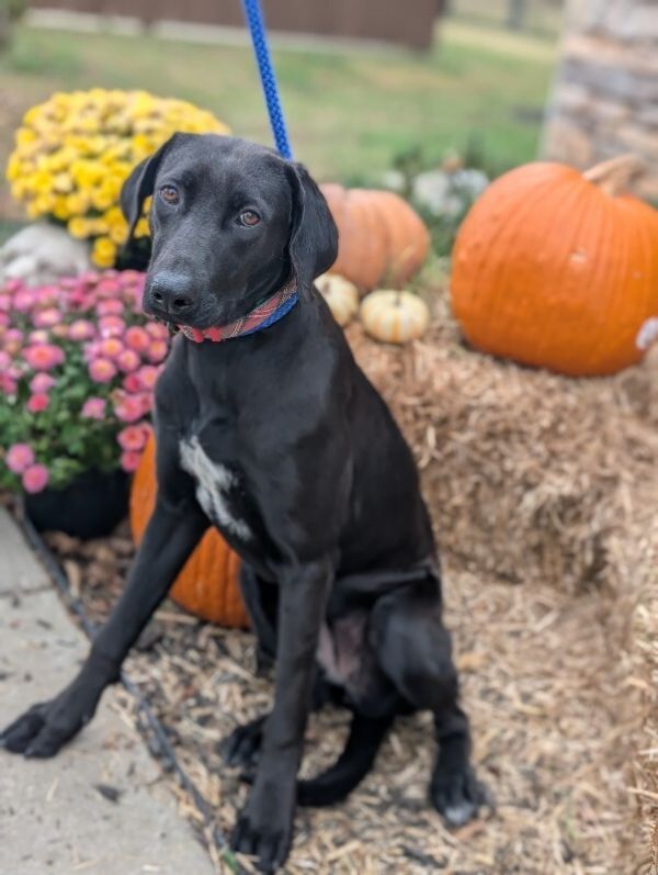 Zoey