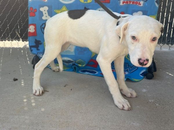 Wednesday thumbnail 2