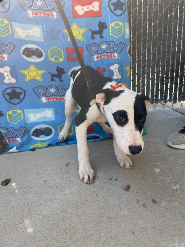 Saturday thumbnail 2