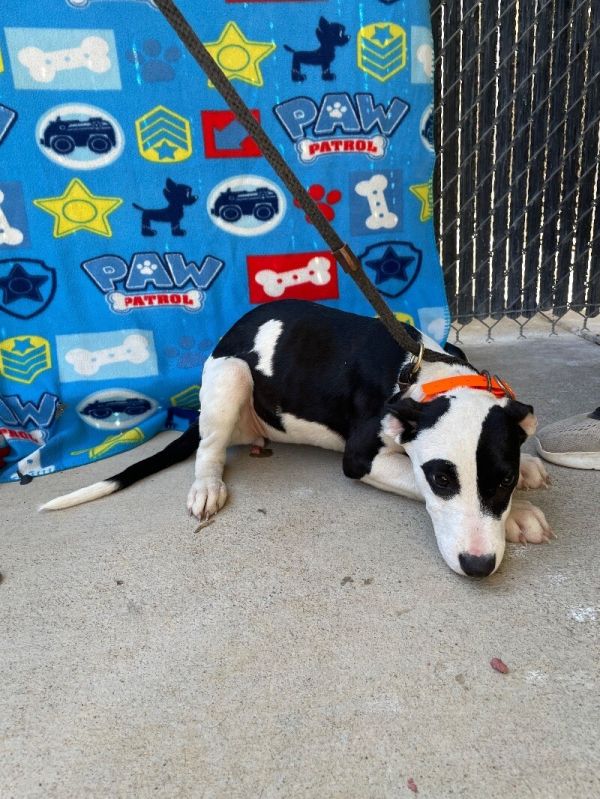 Saturday thumbnail 3