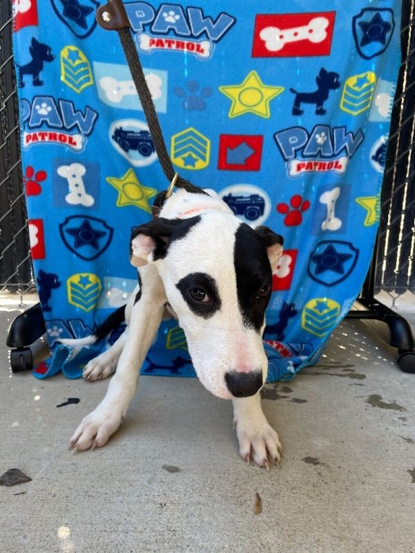 Saturday thumbnail 4