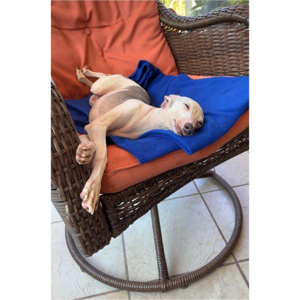 Fat Face Piglet thumbnail 6