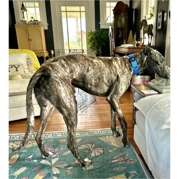 Jsp Major Hit thumbnail 2