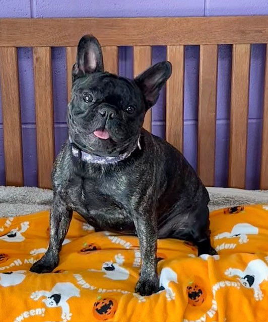 Tilly