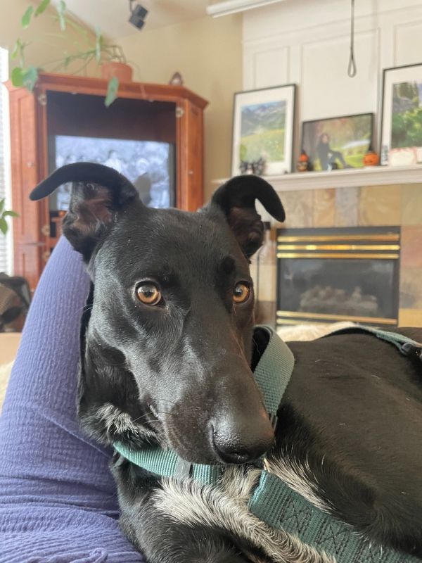 Penny