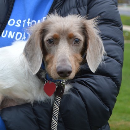 Rocket(Bonded with Jacky)