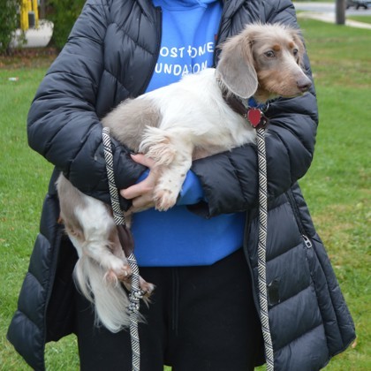 Rocket(Bonded with Jacky)