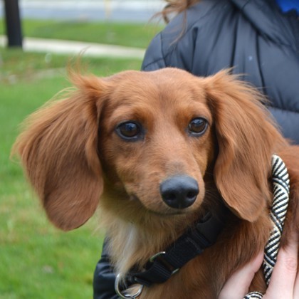 Jacky(Bonded with Rocket)