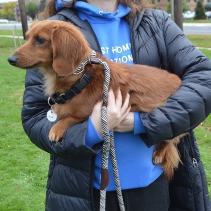 Jacky(Bonded with Rocket)