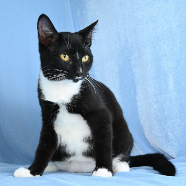 Charming thumbnail 2