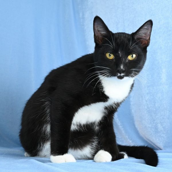 Charming thumbnail 4