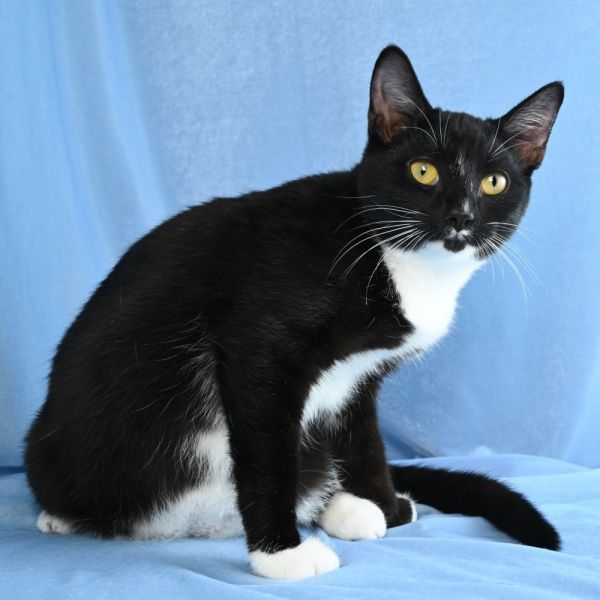 Charming thumbnail 5