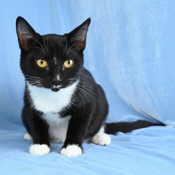 Charming thumbnail 6