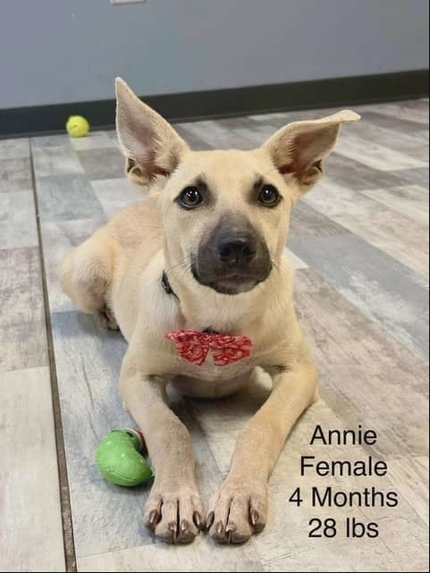 ANNIE
