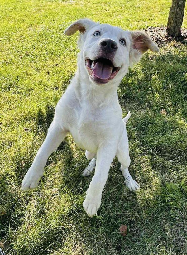 Fluffernutter thumbnail 2