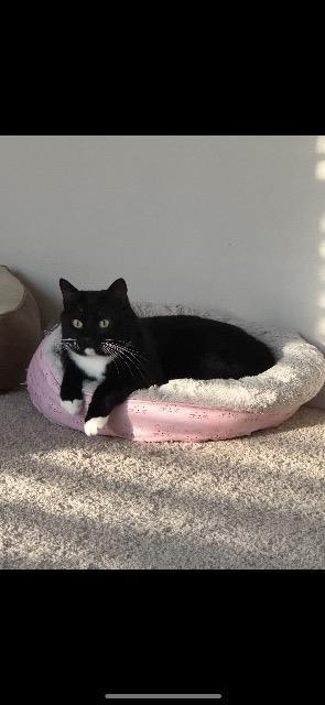 Kowalsky thumbnail 2